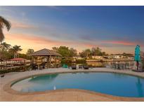 Inviting pool area offering serene waterfront views, complemented by comfortable lounge seating and a covered dock at 3943 Fontainebleau Dr, Tampa, FL 33634