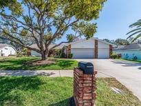 Charming single-Gathering home with a well-maintained lawn, mature tree, brick mailbox, and a two-car garage at 2893 Turtle Ter, Palm Harbor, FL 34683
