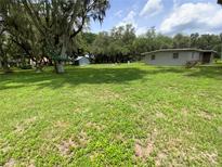 Expansive backyard featuring lush greenery, mature trees, and a storage shed at 3223 Coats Rd, Zephyrhills, FL 33541