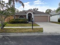 Charming single-story home featuring a two-car garage and well-maintained landscaping at 3147 Sunwatch Dr, Wesley Chapel, FL 33544
