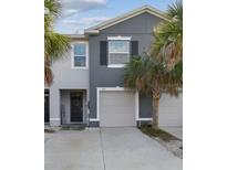 Inviting two-story home with a two-car garage and palm trees enhancing its curb appeal at 3313 Pleasant Willow Ct, Brandon, FL 33511