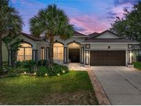Inviting single-story home featuring a well-manicured lawn, mature palms, and a two-car garage at 12333 Woodlands Cir, Dade City, FL 33525