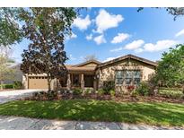 Charming single-story home with a well-manicured lawn and inviting landscaping at 15944 Ternglade Dr, Lithia, FL 33547