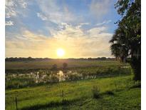 Beautiful view of sunrise over a marshy green field landscape at 1472 Ivydale Rd, Spring Hill, FL 34606