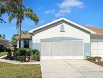 Charming single-story home with a well-manicured lawn and a beautiful palm tree in the front yard at 1219 Huntington Greens Dr, Sun City Center, FL 33573