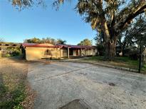 Charming single-story home featuring a red roof and inviting front yard with mature landscaping at 3521 Sumner Rd, Dover, FL 33527