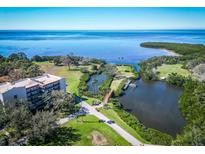 Stunning aerial view of waterfront property with private dock, lush greenery, and ocean view at 504 S Florida Ave # 225, Tarpon Springs, FL 34689