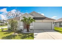 Charming single-story home featuring a two-car garage and well-manicured front yard at 7541 Mariners Harbour Dr, Wesley Chapel, FL 33545