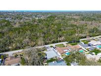 Aerial view showcasing the surrounding lush greenery and neighborhood landscape at 2100 Mcmullen Rd, Largo, FL 33771