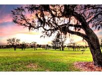 Scenic golf course view features mature trees, lush green grass and a beautiful sunset sky at 1718 Golfview Dr # 1718, Tarpon Springs, FL 34689