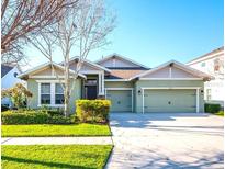 Charming single Gathering home with a well-maintained lawn, lush landscaping, and a two-car garage at 5943 Jasper Glen Dr, Lithia, FL 33547
