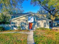 Charming two-story home with a well-maintained lawn, beautiful trees and a welcoming front entrance at 6233 Dewdrop Way # 6233, Tampa, FL 33617
