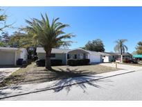Charming single-story home featuring a mature palm tree and a well-maintained front lawn at 7144 Fairfax Dr, Port Richey, FL 34668