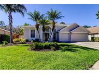 Charming single-story home featuring a well-manicured lawn and lush landscaping with mature palm trees at 10614 Chambers Dr, Tampa, FL 33626