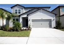 Charming two-story home with a manicured lawn and a spacious driveway leading to a two-car garage at 14184 Hammock Crest Way, Riverview, FL 33569