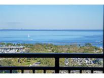 Relaxing view of the serene blue water and distant shoreline from a high-rise balcony at 175 2Nd S St # P03, St Petersburg, FL 33701