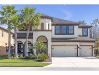Stunning two-story home with a three-car garage and lush landscaping featuring mature palm trees at 8414 Eagle Brook Dr, Land O Lakes, FL 34638