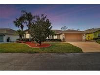 Charming single-story home boasting a lush green lawn, mature landscaping, and a two-car garage at 10416 Moshie Ln, San Antonio, FL 33576