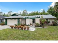 Charming single story home with lush front lawn and colorful flower pots at 15306 Winterwind Dr, Tampa, FL 33624