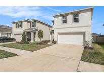 Beautiful two-story home with a two-car garage and well-maintained lawn at 5640 Wandering Willow Dr, Wesley Chapel, FL 33545