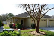 Charming single-story home featuring a well-maintained lawn and inviting curb appeal at 19432 Haskell Pl, Land O Lakes, FL 34638