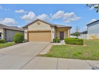 Charming single-Gathering home with a well-manicured front yard and two car garage at 9116 Grant Line Ln, Riverview, FL 33578