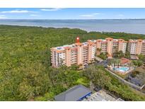 Stunning waterfront condo with lush landscaping, resort-style pool, and panoramic views of the bay and mangrove forests at 12033 Gandy N Blvd # 175, St Petersburg, FL 33702