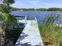 Waterfront property featuring a wooden dock with access to a serene lake at 16921 Crawley Rd, Odessa, FL 33556