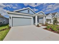 Charming one-story home featuring a two-car garage and inviting front porch with manicured landscaping at 6042 Golden Nettle Dr, Apollo Beach, FL 33572
