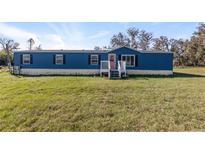 Charming blue home featuring a spacious front yard and a vibrant pink front door at 8428 Highland Pines Ct, Plant City, FL 33565