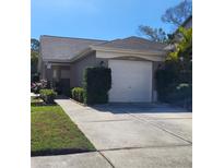 Charming single-story home with a well-maintained lawn and a two-car garage at 11638 Hidden Hollow Cir, Tampa, FL 33635