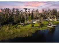 Waterfront home boasting a private dock and lush green surroundings at 19230 Lake Allen Rd, Lutz, FL 33558