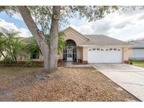 Charming single-story home featuring a manicured lawn, two-car garage, and mature trees at 9415 Pebble Glen Ave, Tampa, FL 33647