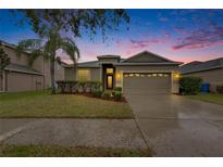 Charming home with a two-car garage and landscaped front yard highlighted by a beautiful sunset at 13454 Graham Yarden Dr, Riverview, FL 33579