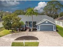 Charming single-story home featuring a well-manicured lawn and a paved driveway leading to an attached garage at 17508 Isbell Ln, Odessa, FL 33556