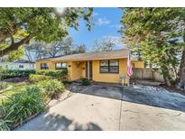 Charming single-story home with a landscaped front yard, lush greenery and American flag at 10226 N Oakleaf Ave, Tampa, FL 33612