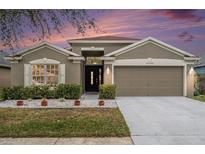 Charming single-story home with a well-manicured front yard and neutral exterior paint at 25348 Flying Ebony Ln, Wesley Chapel, FL 33544