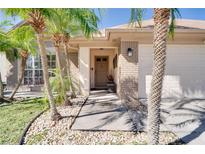 Charming single-story home features a welcoming entrance, a two-car garage, and lush landscaping with mature palm trees at 1731 Elk Spring Dr, Brandon, FL 33511