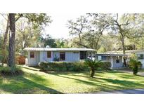 Charming single-story home with red framed windows surrounded by lush greenery and mature trees at 7043 Lang St, Brooksville, FL 34601