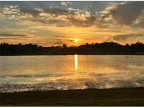 Beautiful lake view home with stunning sun rays at sunset, reflected on the water at 1301 Jen Ma Jo Ln, Lutz, FL 33549
