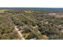 Large parcel of land surrounded by trees and greenery, ready for development in a serene setting at 20238 Shetland Ln, Spring Hill, FL 34610