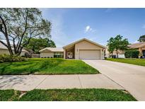 Charming single-story home featuring a well-manicured lawn and a two-car garage at 3350 Brian N Rd, Palm Harbor, FL 34685