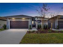 Charming home featuring a two-car garage, landscaped yard, and an inviting entryway at dusk at 219 Villa Luna Ln, Lutz, FL 33549