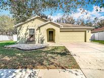 Charming single-story home featuring a two-car garage, and a well-maintained front yard with mature trees at 4441 Fieldview Cir, Wesley Chapel, FL 33545