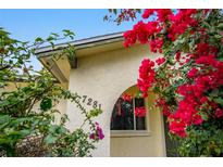 Charming home entrance with vibrant bougainvillea, house number, and stucco facade at 7281 61St N Ave, St Petersburg, FL 33709