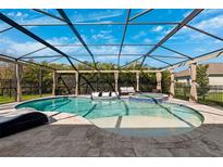 Screened-in pool with a beach entry and a spa, along with plenty of room to sit and relax at 4195 Welling Ter, Land O Lakes, FL 34638