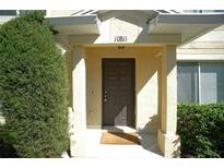 Inviting front entrance with dark brown door, supported by white pillars on a sunny day at 10811 Brickside Ct, Riverview, FL 33579