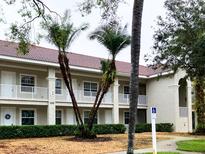 Low-rise condo complex shows off a tile roof, exterior balconies, and mature palm trees at 6815 Dali Ave # F101, Land O Lakes, FL 34637