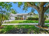 Landscaped front yard featuring mature trees and well-maintained lawn at 915 Brittany Park Blvd, Tarpon Springs, FL 34689