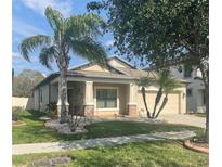 Charming single-story home with a well-manicured lawn, mature trees, and a two-car garage at 11648 Palmetto Pine St, Riverview, FL 33569